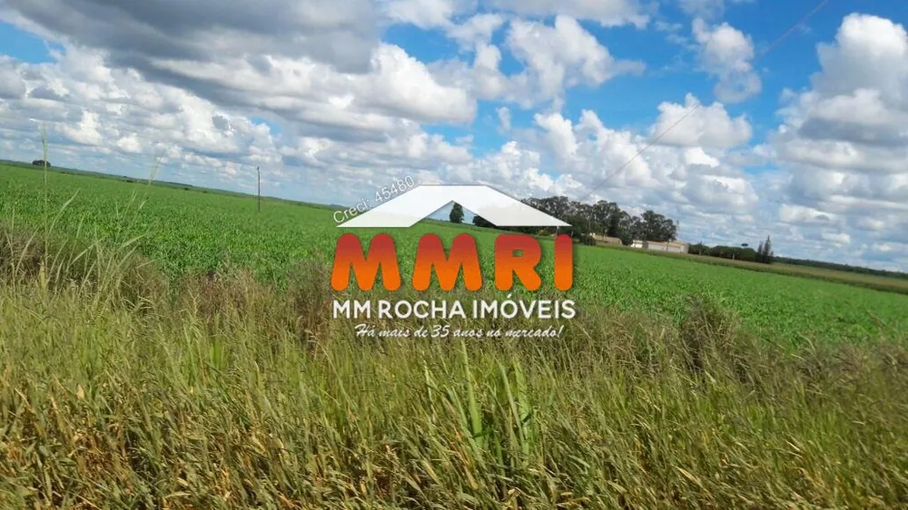 Fazenda, 31 hectares - Foto 2