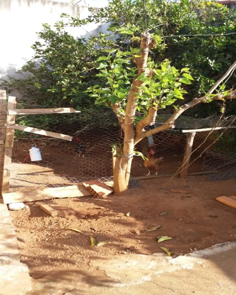 Casa, 2 quartos, 250 m² - Foto 1
