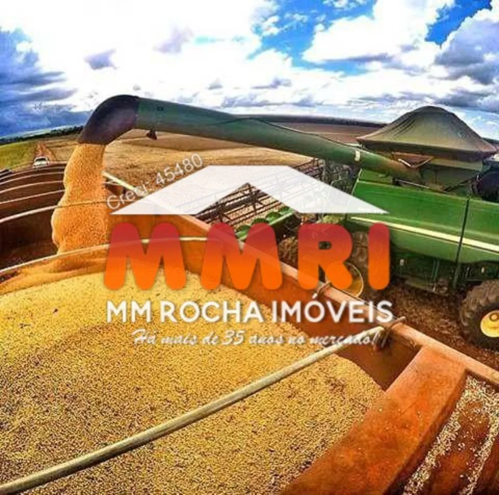 Fazenda, 7 hectares - Foto 6