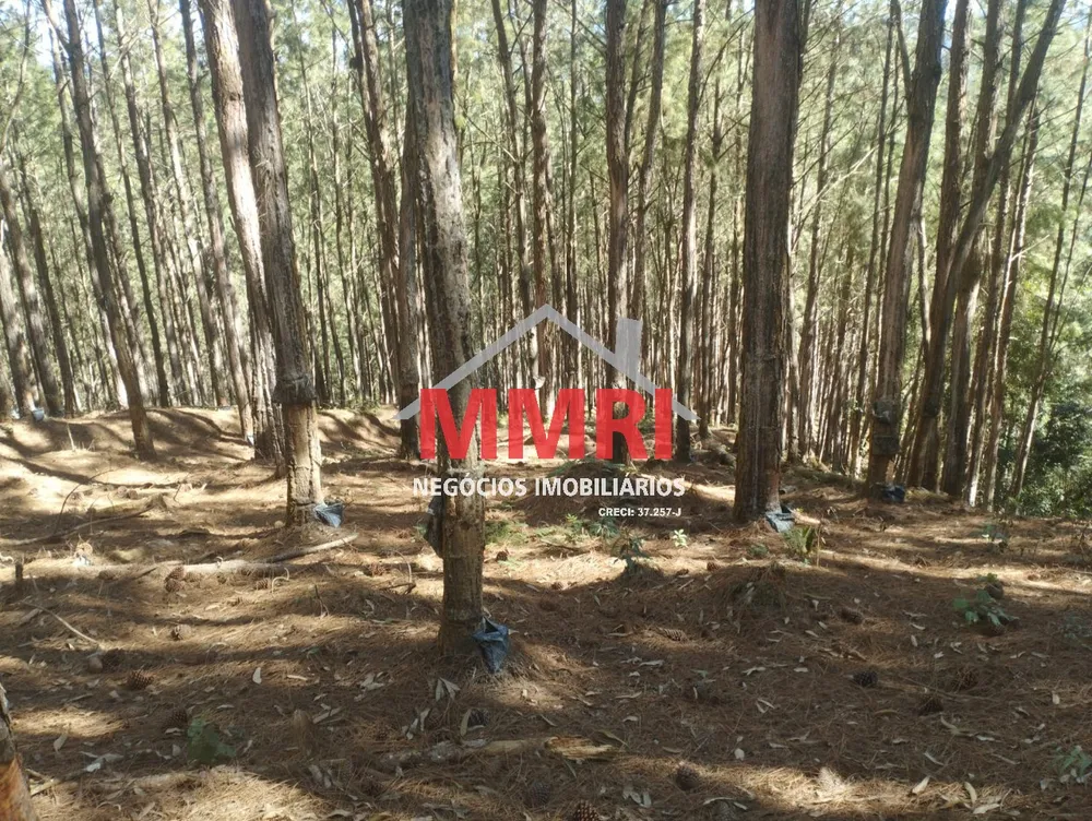 Fazenda, 100 m² - Foto 4
