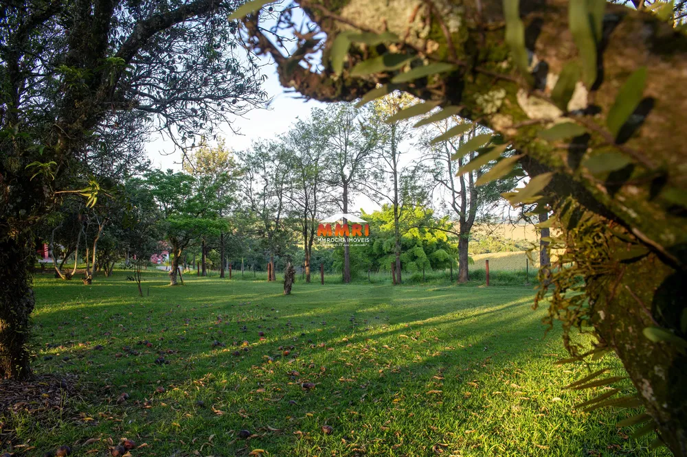 Sítio, 3 quartos, 5 hectares - Foto 4