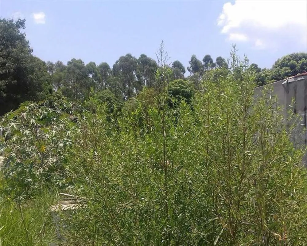 Loteamento e Condomínio, 2000 m² - Foto 8