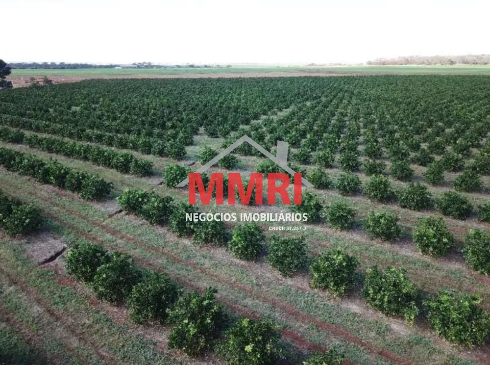 Fazenda, 158 m² - Foto 12