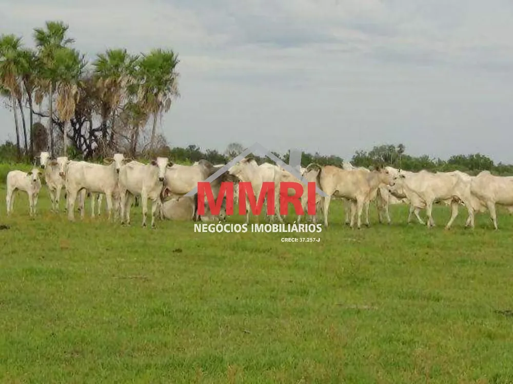 Fazenda, 10 hectares - Foto 1