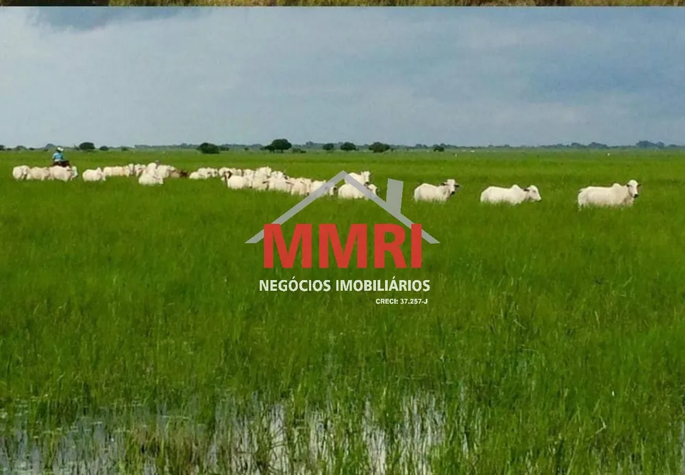 Fazenda, 10 hectares - Foto 4