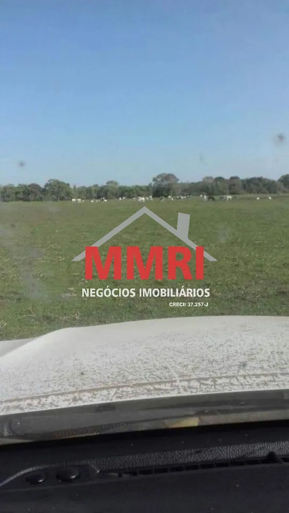 Fazenda, 10 hectares - Foto 3