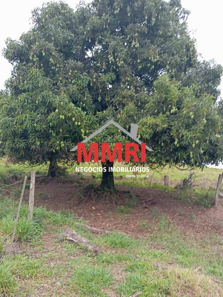 Fazenda, 653 m² - Foto 5