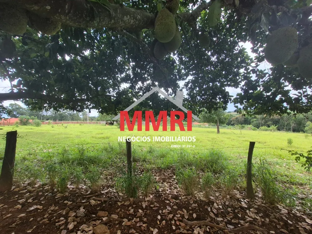 Terreno, 2 hectares - Foto 6
