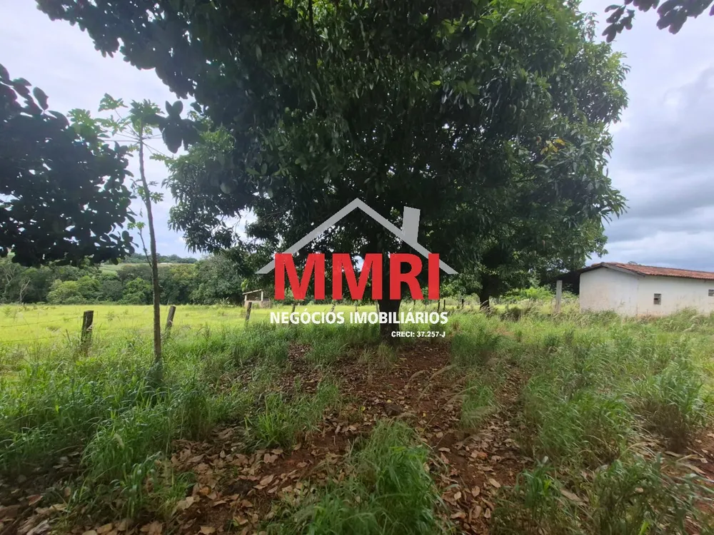 Terreno, 2 hectares - Foto 3