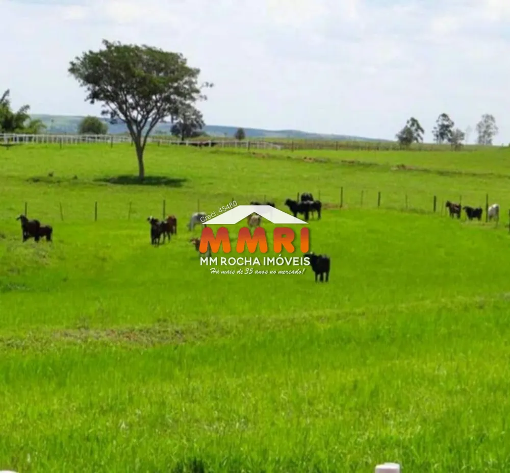 Fazenda, 163 m² - Foto 6