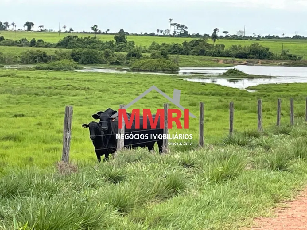 Fazenda, 2 hectares - Foto 8