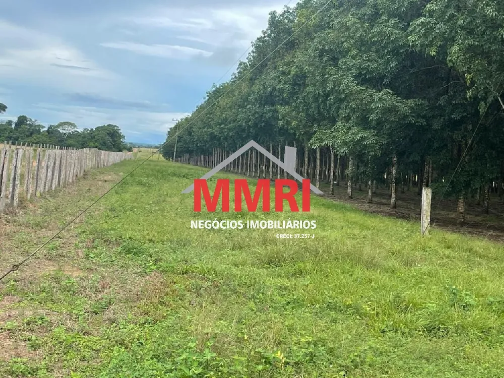 Fazenda, 2 hectares - Foto 3