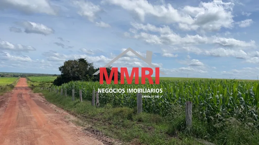Fazenda, 2 hectares - Foto 7