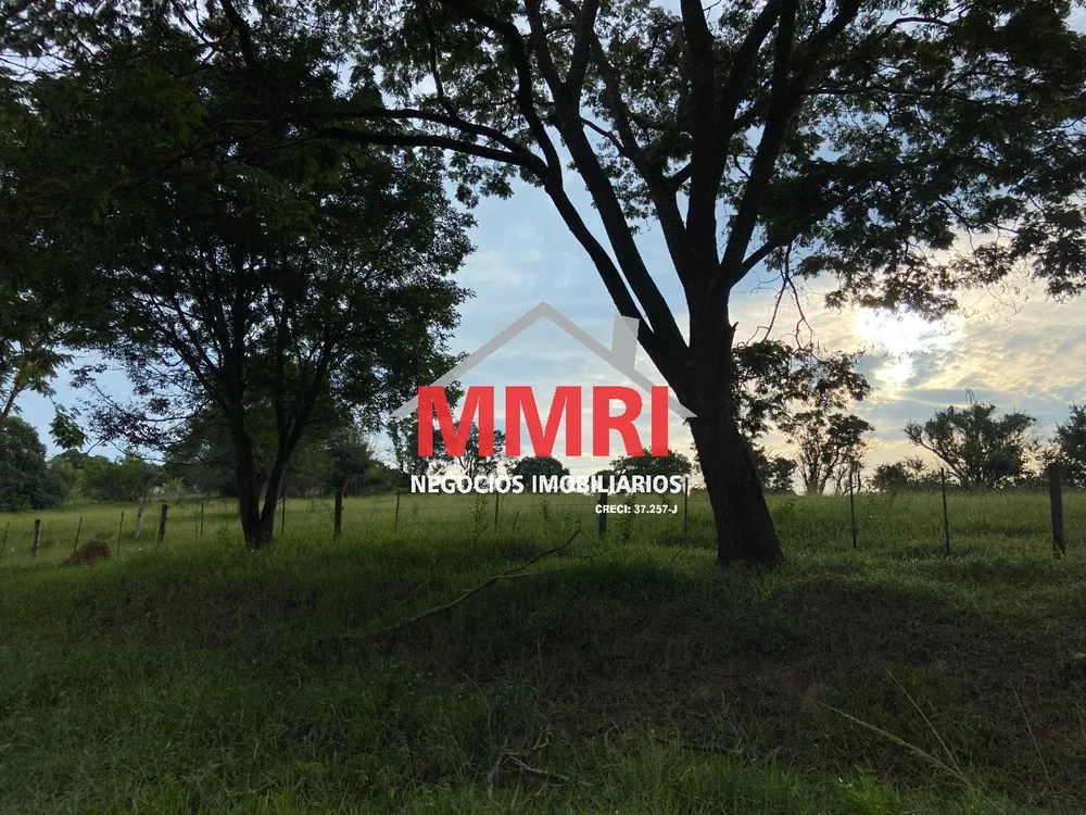Terreno, 2 hectares - Foto 4