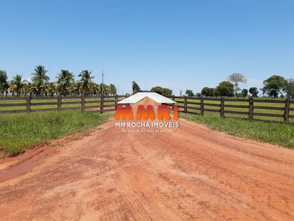 Fazenda, 3133 m² - Foto 6