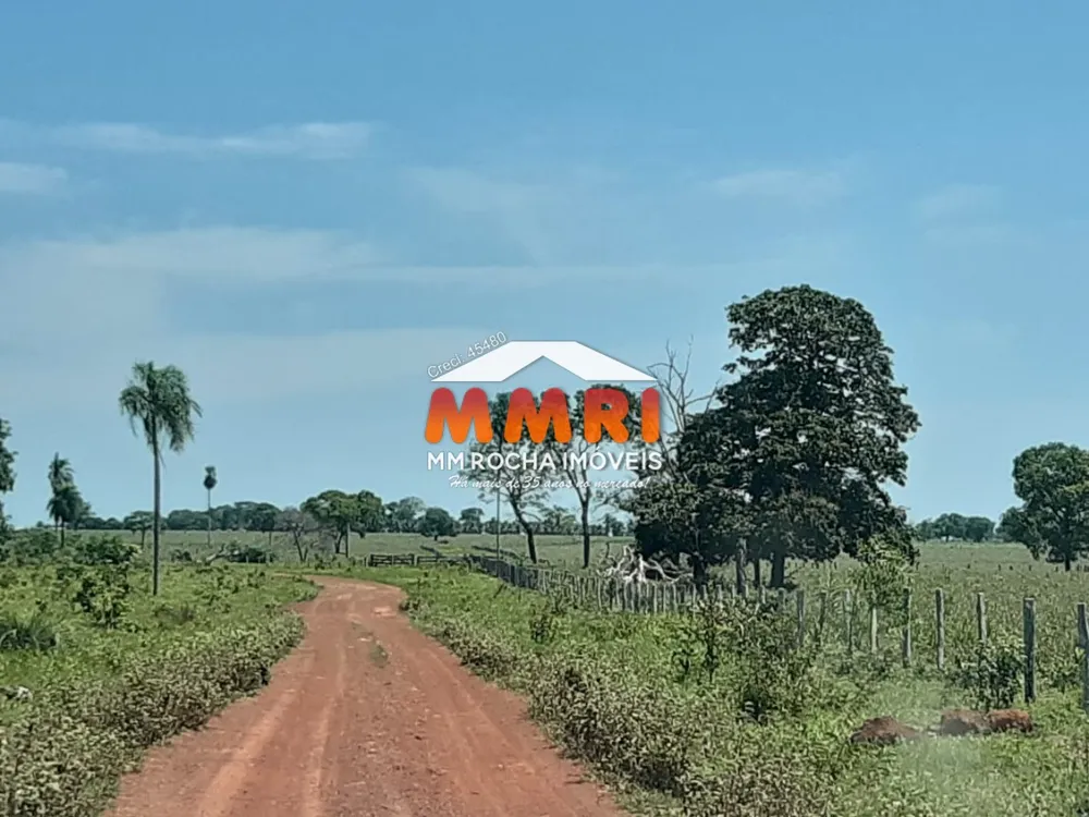 Fazenda, 3133 m² - Foto 5