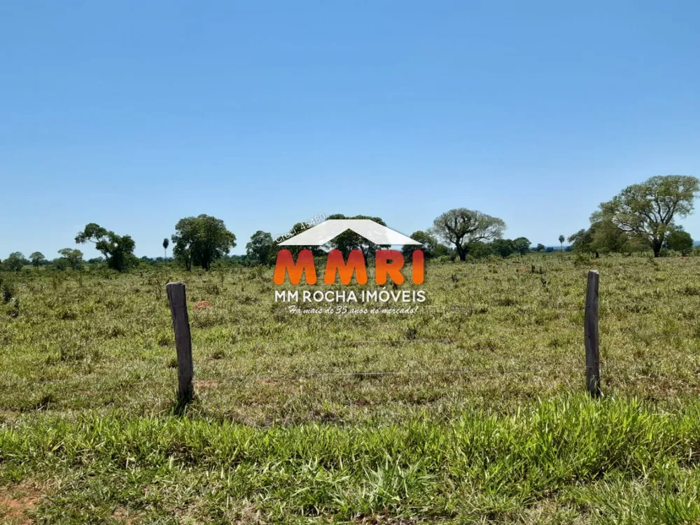 Fazenda, 3133 m² - Foto 4