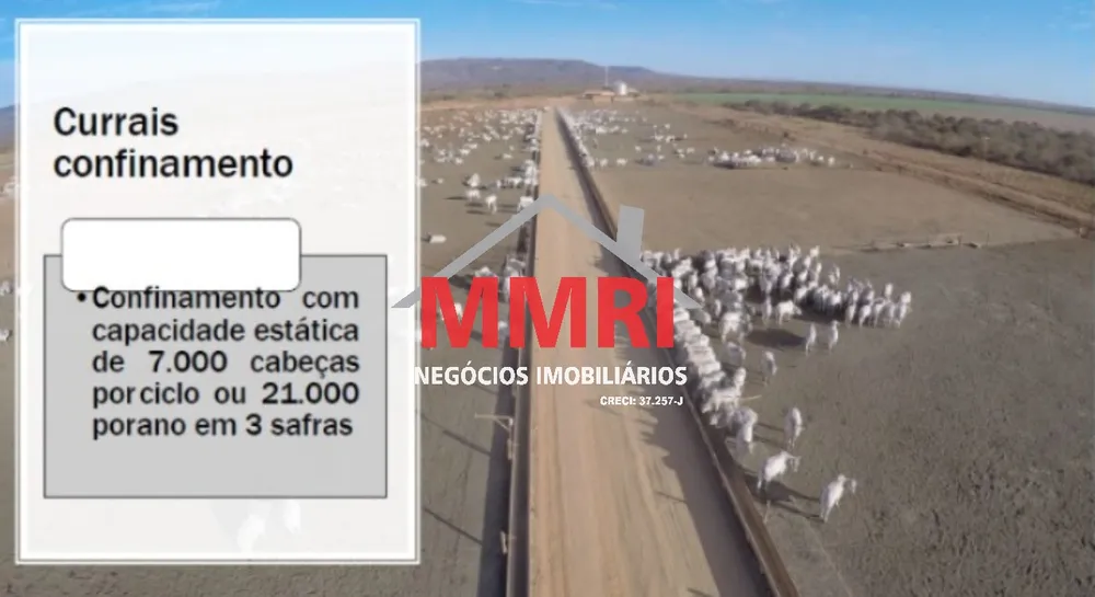 Fazenda - Foto 7