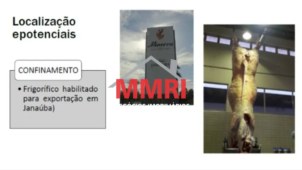 Fazenda - Foto 2