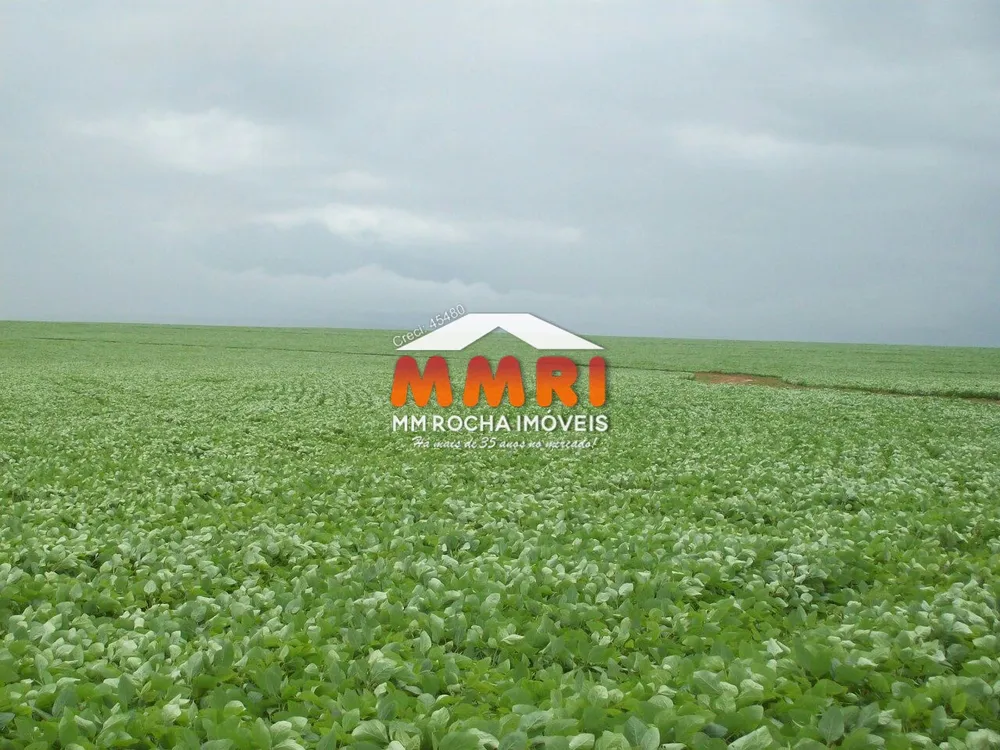 Fazenda, 6 hectares - Foto 1
