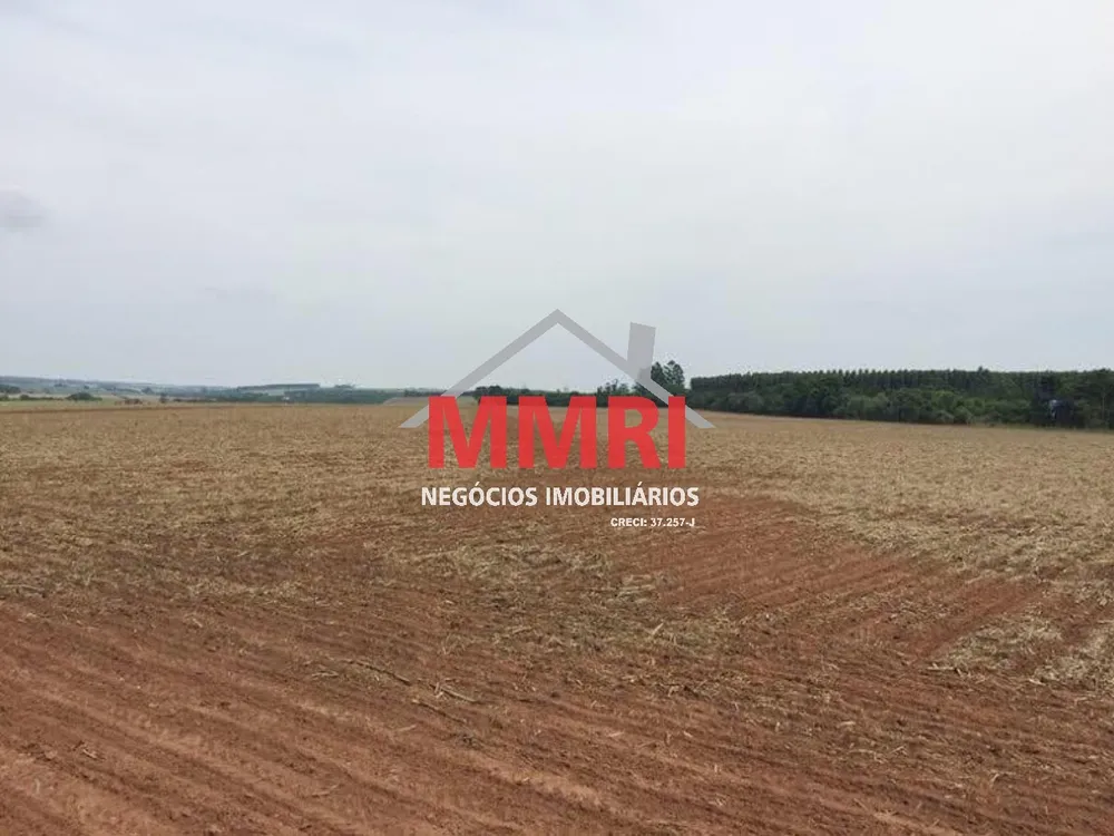 Fazenda - Foto 2