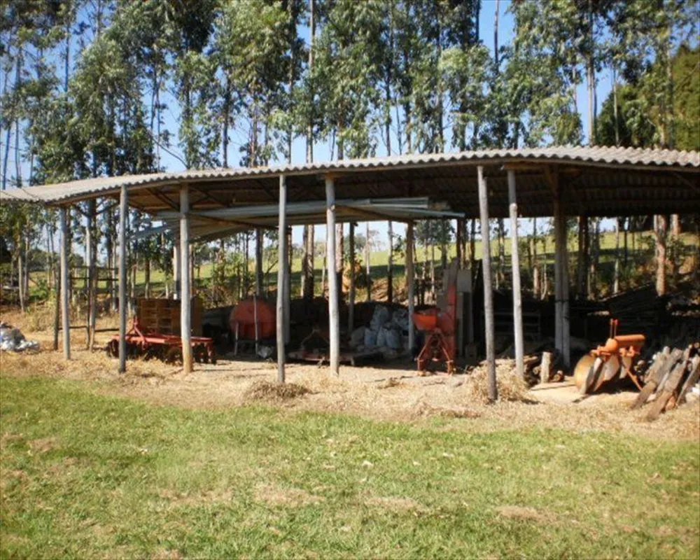 Sítio, 1 quarto, 10 m² - Foto 3
