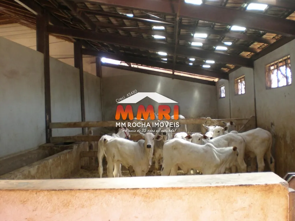 Fazenda, 603 m² - Foto 6