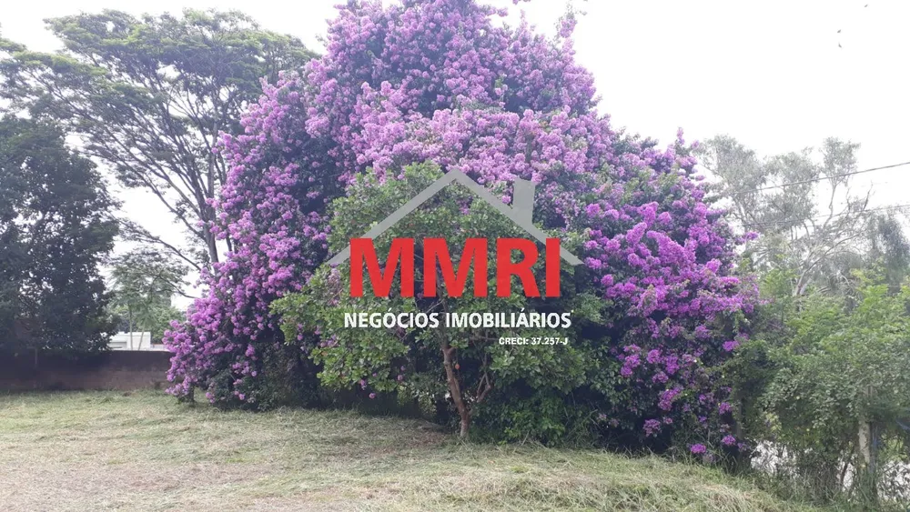 Chácara, 2 quartos, 3000 m² - Foto 11