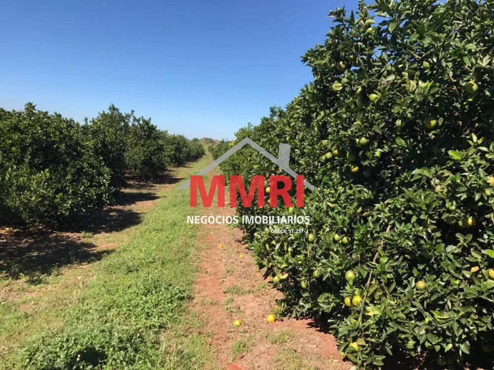 Fazenda, 300 m² - Foto 4