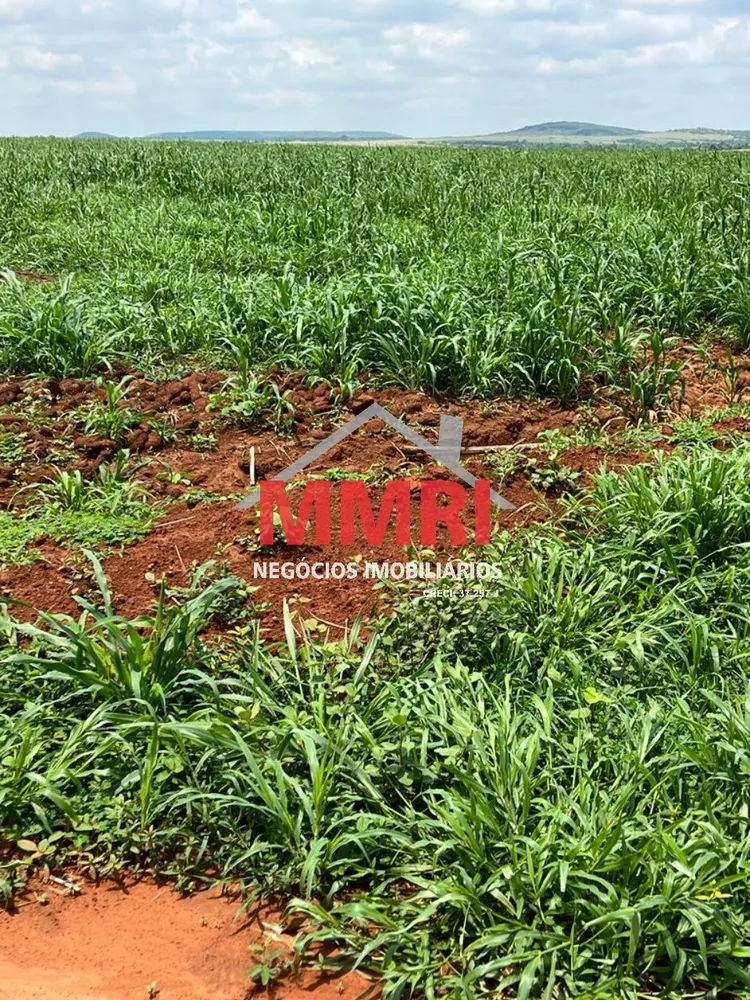 Fazenda - Foto 4