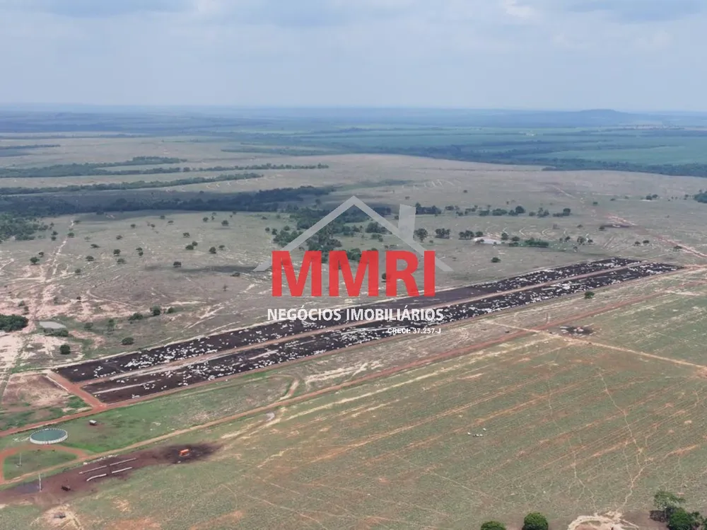 Fazenda - Foto 7