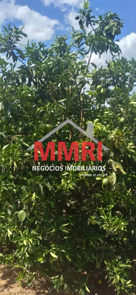 Fazenda, 1300 m² - Foto 7