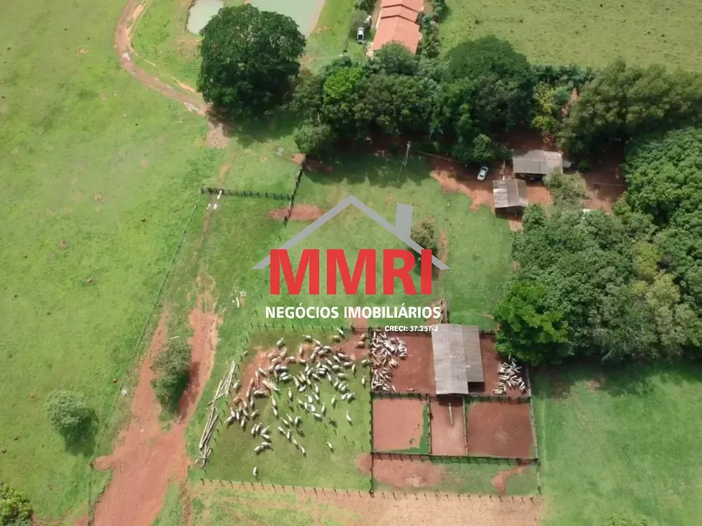 Fazenda - Foto 5