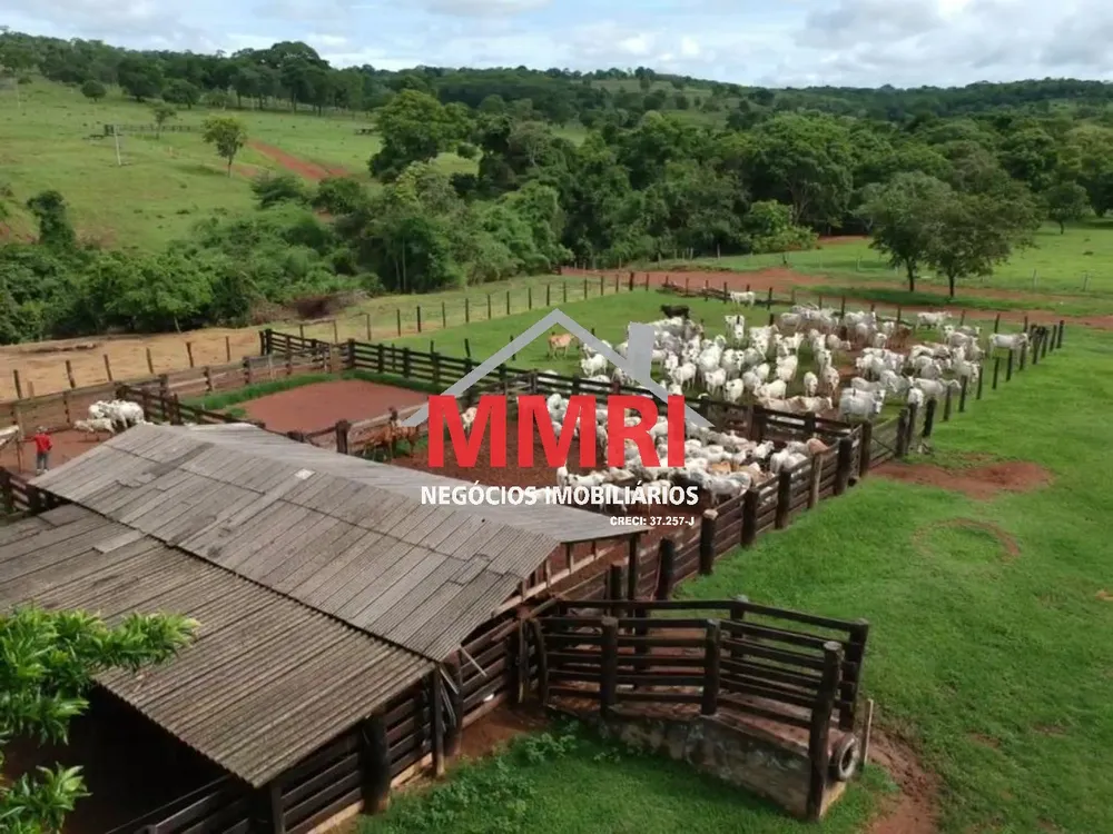 Fazenda - Foto 7