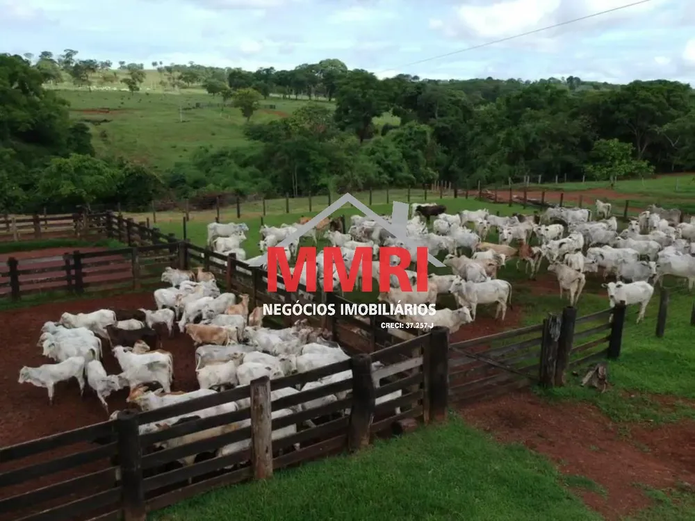 Fazenda - Foto 6