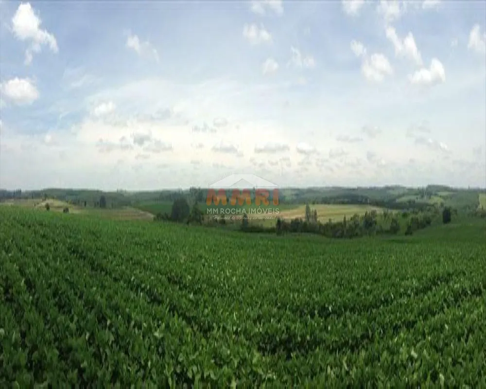 Fazenda, 150 m² - Foto 4