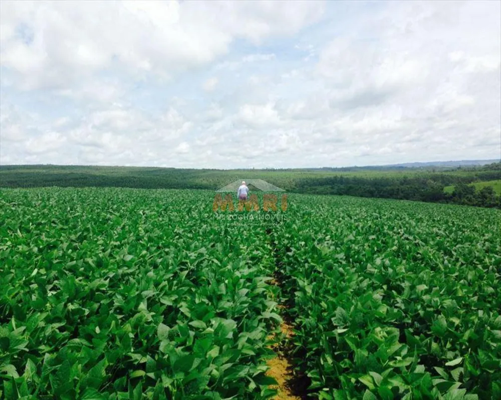 Fazenda, 150 m² - Foto 7