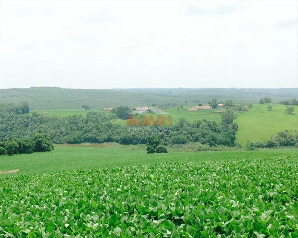 Fazenda, 150 m² - Foto 6