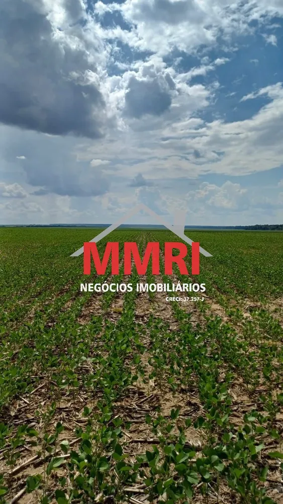 Fazenda - Foto 2