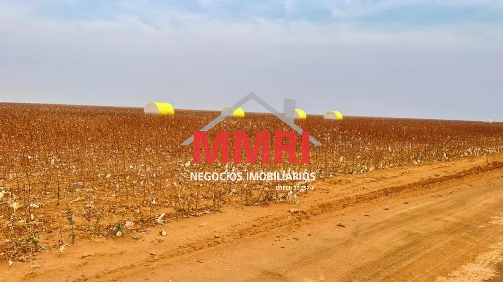Fazenda, 2 hectares - Foto 8