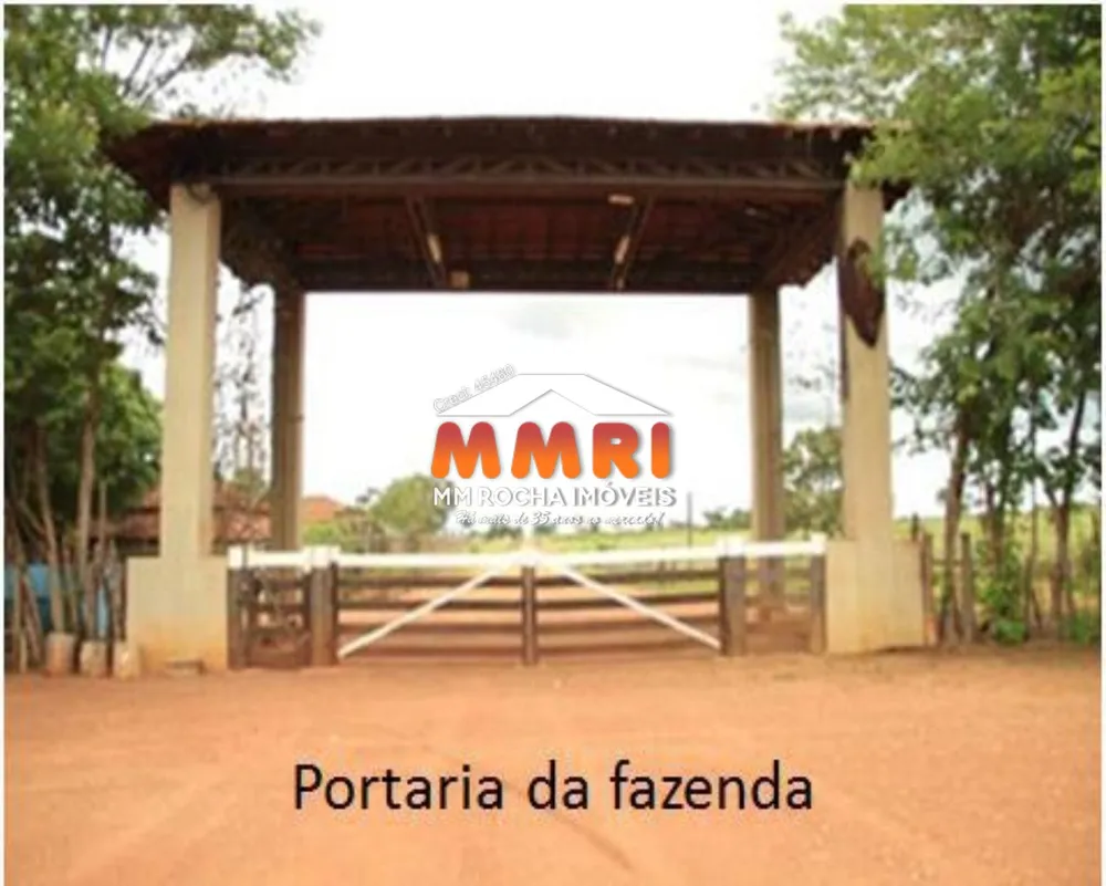 Fazenda, 21 hectares - Foto 1