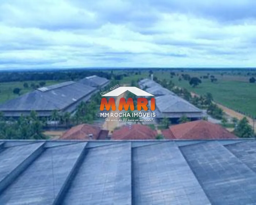 Fazenda, 21 hectares - Foto 4