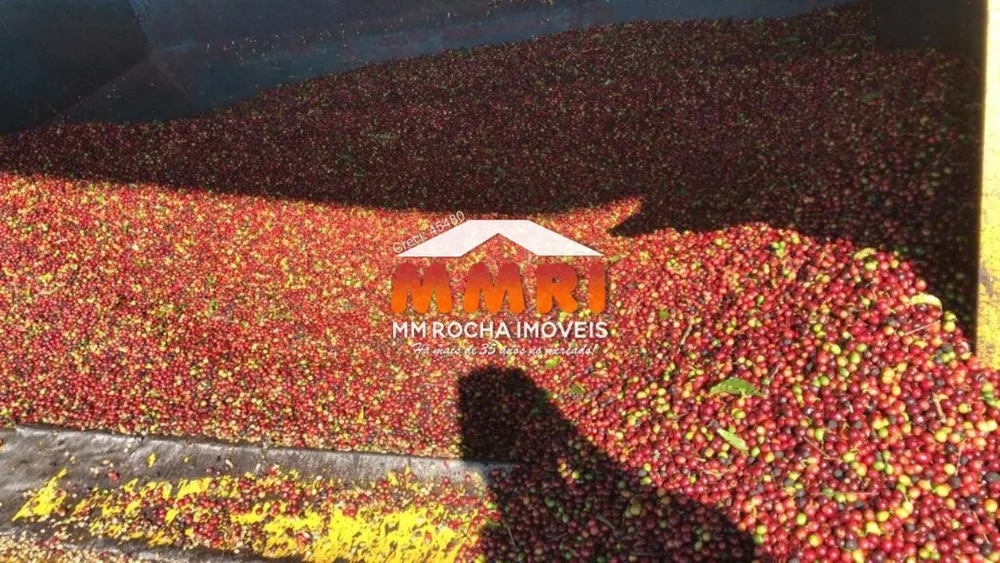 Fazenda, 2350 m² - Foto 1