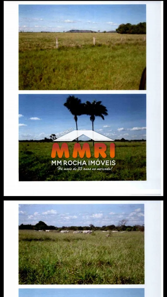 Fazenda, 4 hectares - Foto 8