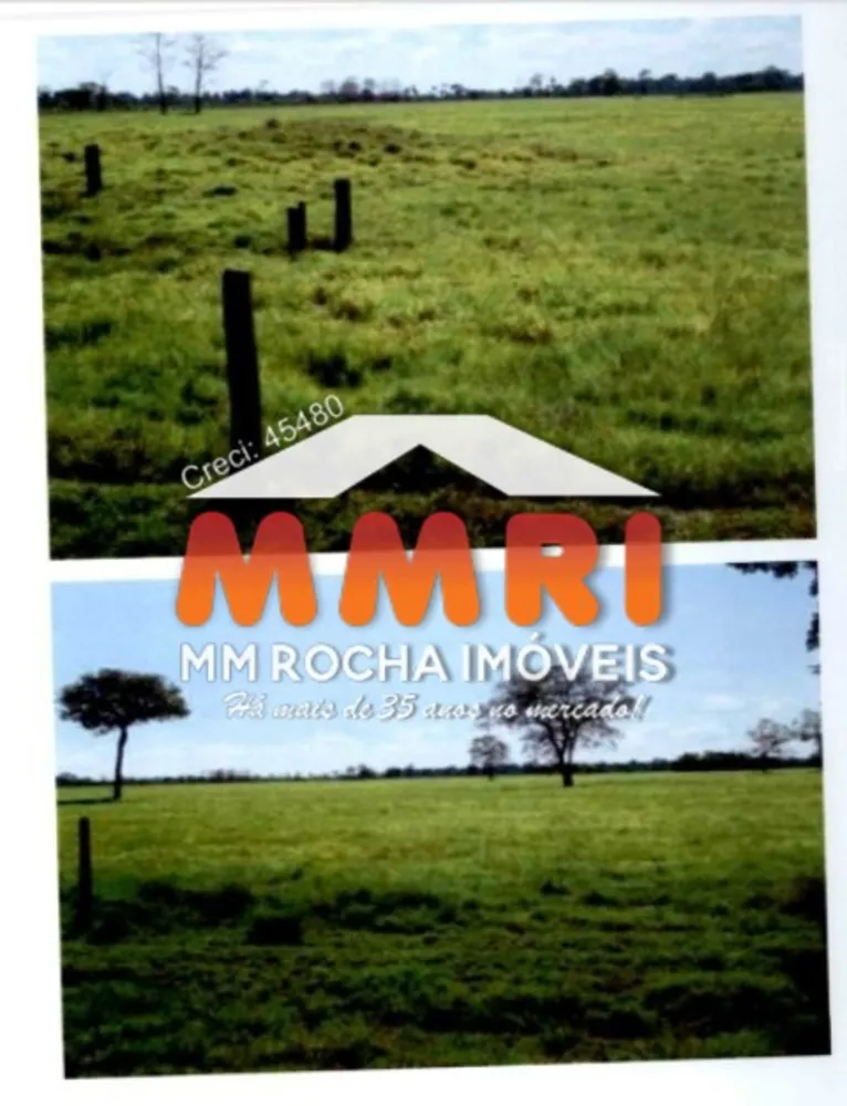 Fazenda, 4 hectares - Foto 7
