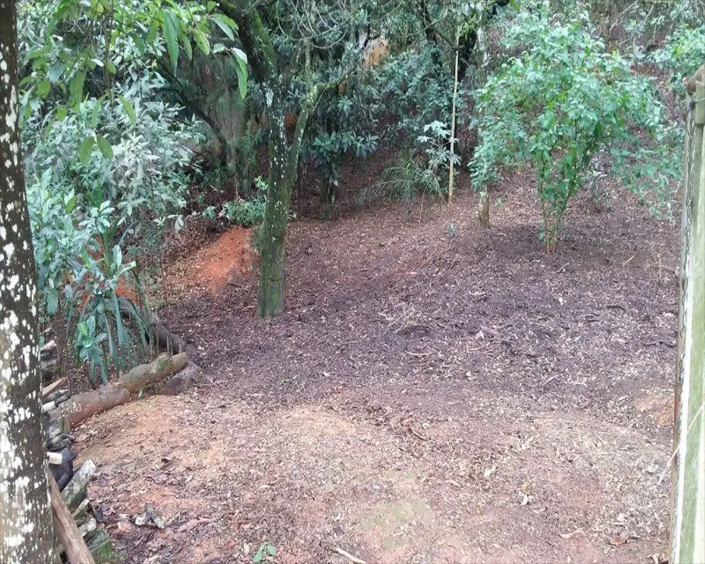 Chácara, 5 quartos - Foto 7
