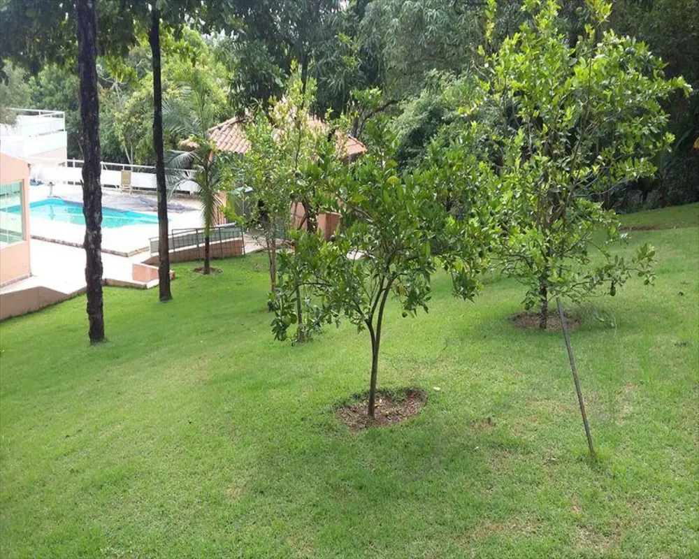 Chácara, 5 quartos - Foto 2