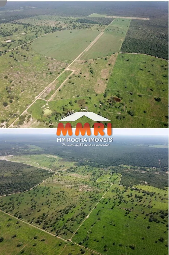 Fazenda, 2 hectares - Foto 6