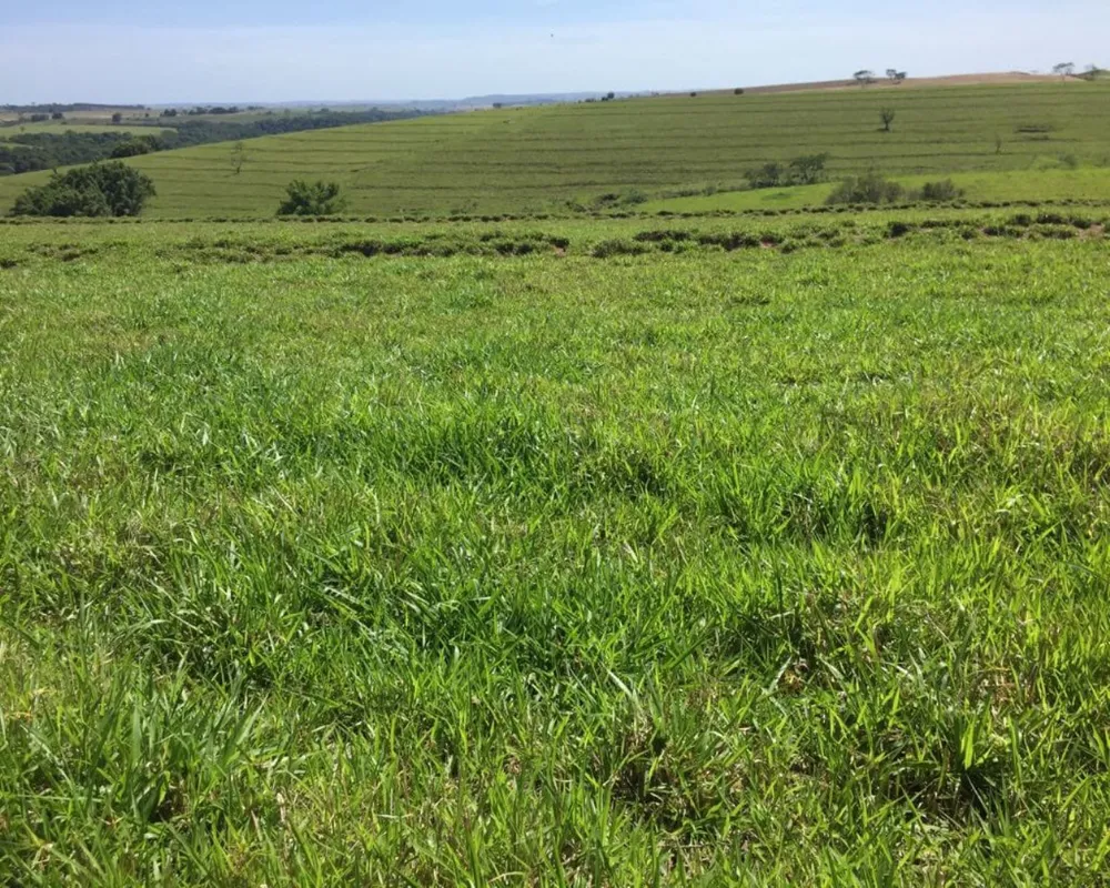 Fazenda, 1 quarto - Foto 1