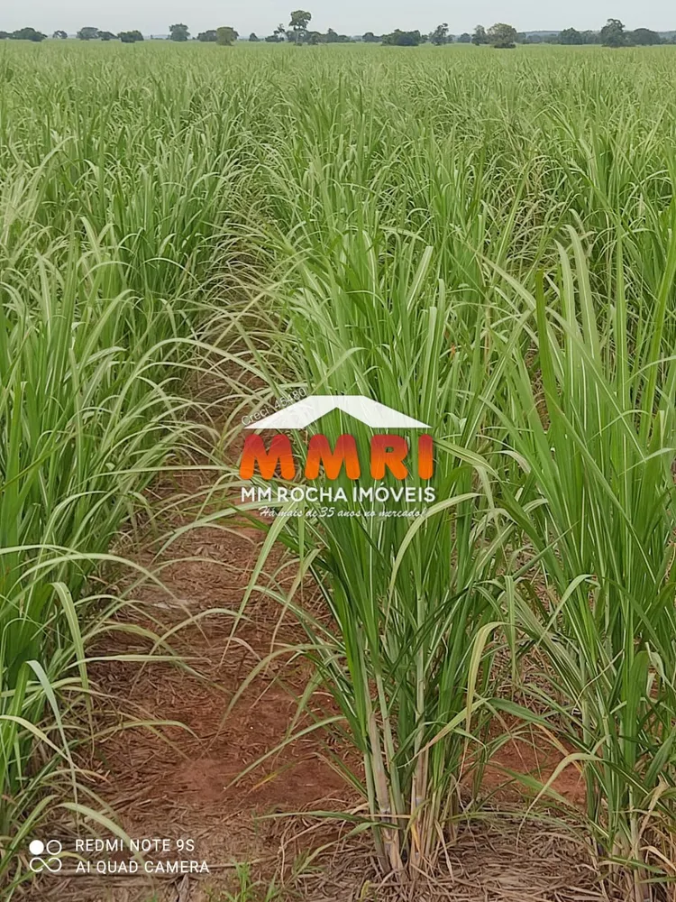 Fazenda, 474 m² - Foto 6